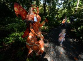 photos.medleyphoto.3960599