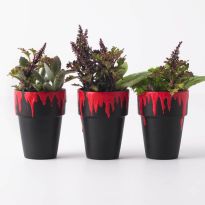 1979467cc1396e38cbd0c0e20fd50204