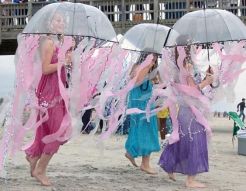 1b1c45dca80d5a15bf7356264b2a7ba9