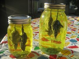 f5e7b13c601df5697b23499177590ee9