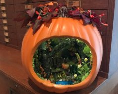 il_340x270.1595378328_lrll