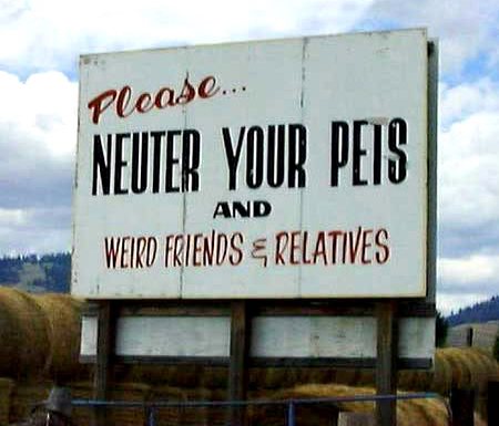 neuter-pets-friends-relatives