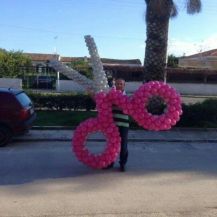 b56224ce3162150425131b7c76fee3e5