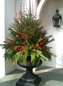 e2023903fff52c217fda088d74a138b4