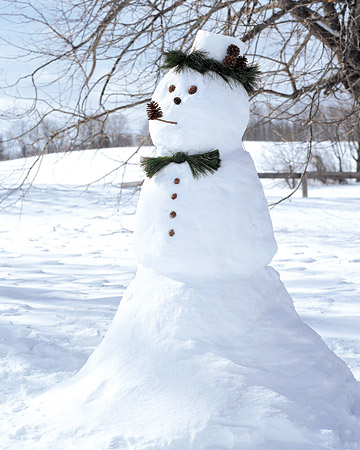 0106_msl_snowman_xl