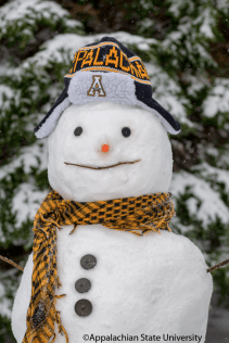 12cb1303e0be64874ea6f45ec59d0122