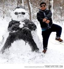 3e46e7c08664866d4f3be78620843cf8--snowmen-pictures-funny-snowman