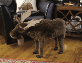 5844bbda170000620fe7db88