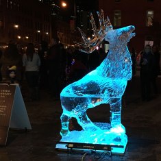 Estes-Park-Ice-Sculpture