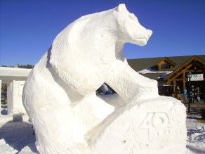 SANYO DIGITAL CAMERA