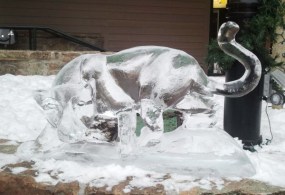 Ice-cat-600x412