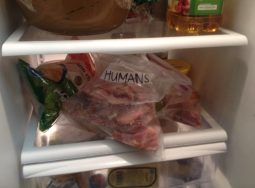 Screen-Shot-2018-06-21-at-6.17.59-PM-1024x758