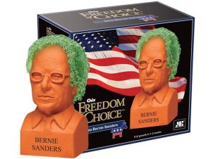 a-political-chia-plant