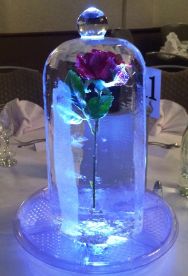 ae430697b6386a626484041477ca83d3