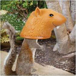Big-Head-Squirrel-Feeder1