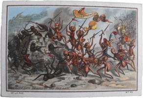 blackantscard-720x496