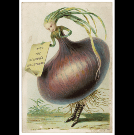 shutterstock_7665025jy