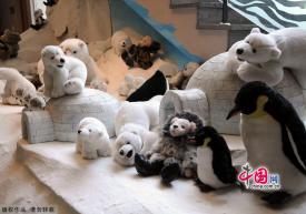 001422373e19112958e319