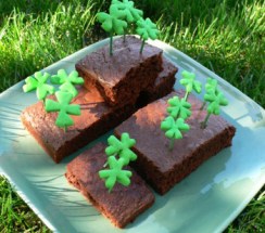 cloverbrownie_hi_res