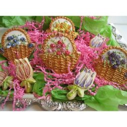 66406efebc8771e4e9511b6ae7b82efd