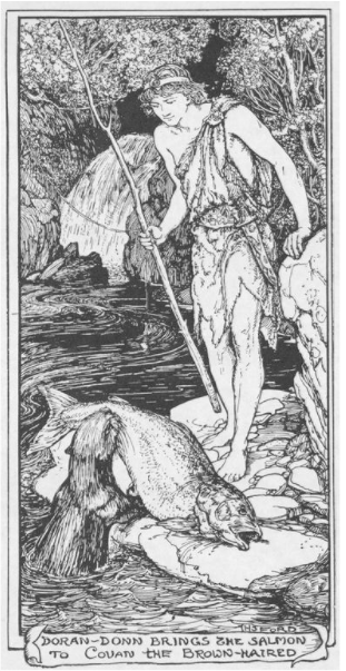 covan-the-brown-haired