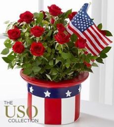 dbe6b21a41fb5a8ed2c4218d07a5974f