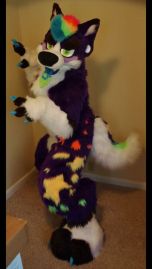 0619819a4e21ec41d02e2d0b8b1d1727