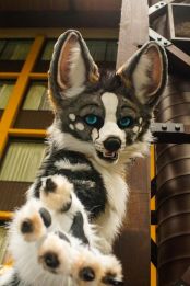 0ea53ce48c57a9ce1ca59508291489d9