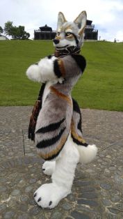 214a29cb153dda45a5c0e66e063bdc15