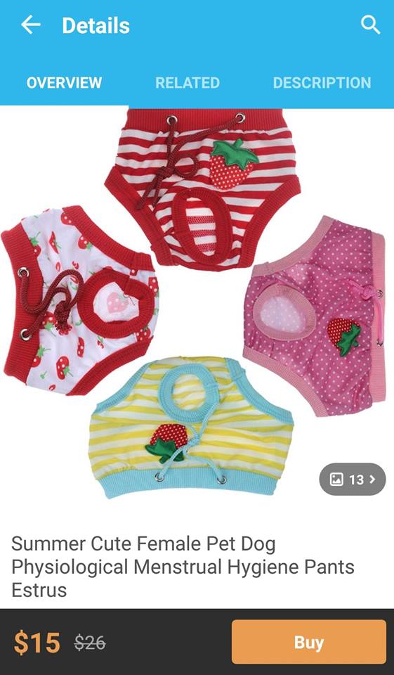 26169825_1395123757287328_7122418463025929456_n