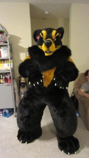 2a88efcd36802563d36389f7a2bef116