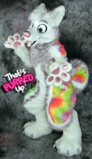 2f4e6843db5d59aabd1d0ec376456b27