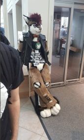 41617a6674db3ae7277605fabc7ab8c5