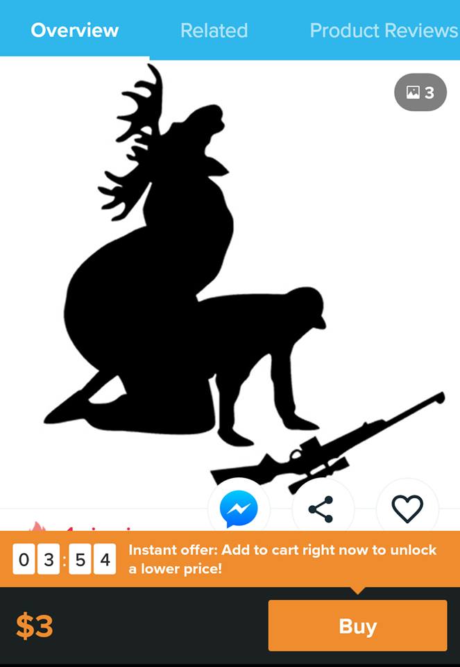 48948217_1741575415975492_4566837815303733248_n