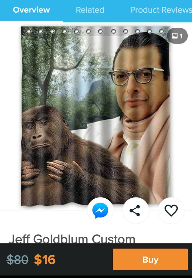 48975176_1740148259451541_146355670650716160_n