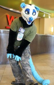 592ff2fee7666a79260891cbf43383e3