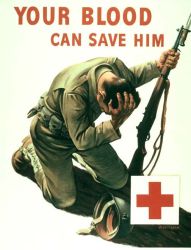 f16dccabe496f717c50ba98a144a4fa2