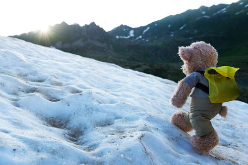 Top-10-Worst-Stock-Photos-for-Your-Marketing-08-bear-on-the-go-climbing-mountain