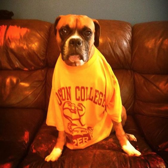 cdef8b1680e5dcc9cc55687094d9b5d3