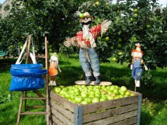 080917-100-1-710x534