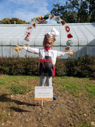 20181026-122230_orig