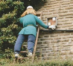 211704470.jpg.gallery