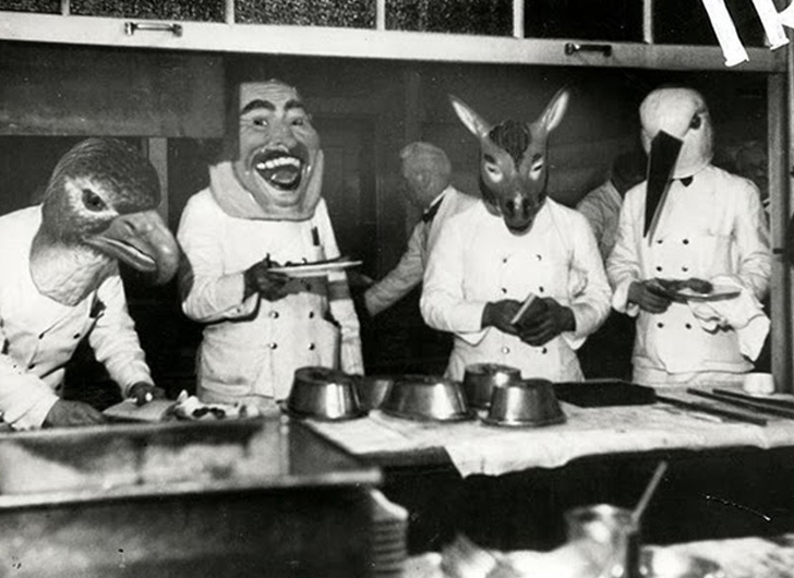 1f946fa84137df85775134ac2bbf50d8