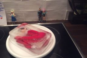 RTR_LEC_171215ElfShelf2015_01