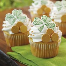 dd462405d8563a4a2a09c52e94ec089c