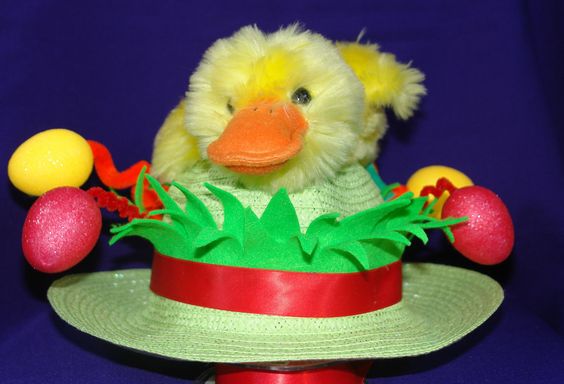 15a5887b05784c374e03f4994ff3e924