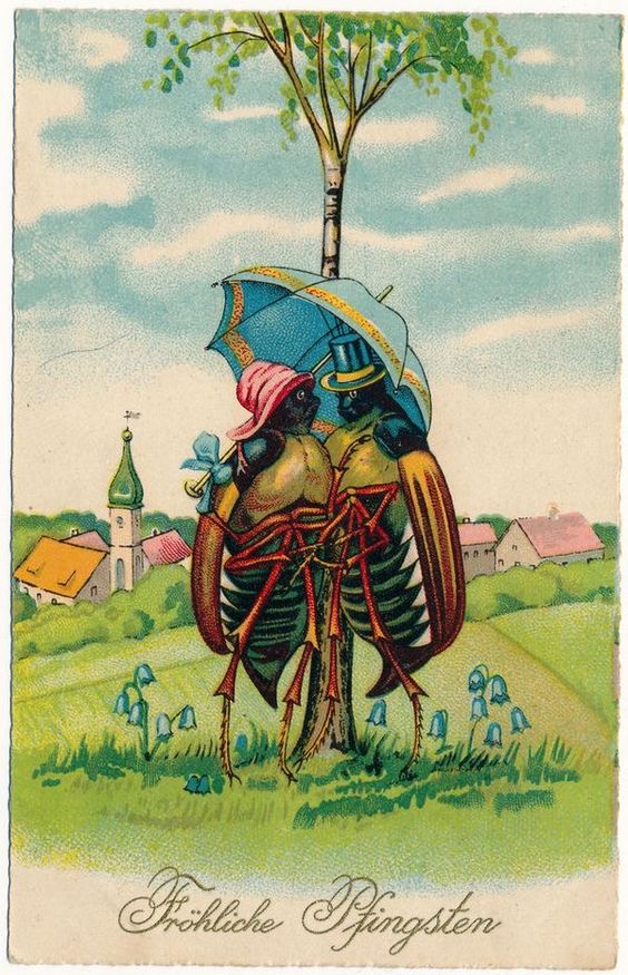 1996e1b1e81eee79306f381a68ff880a