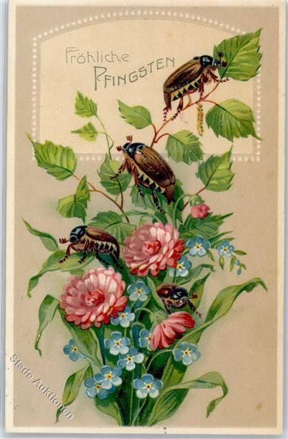 44e3f07b4238d65dc81141560cf7ab65