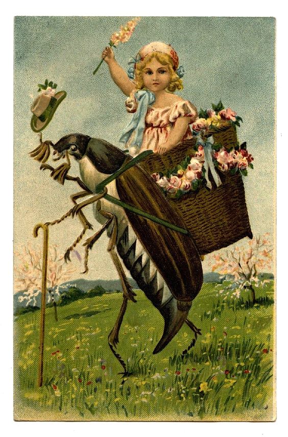 52d3bc754b81a6a1ee88061c72a9ccd9