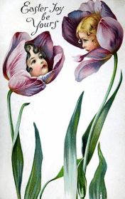 5604d209fa40848ac371edc458226576